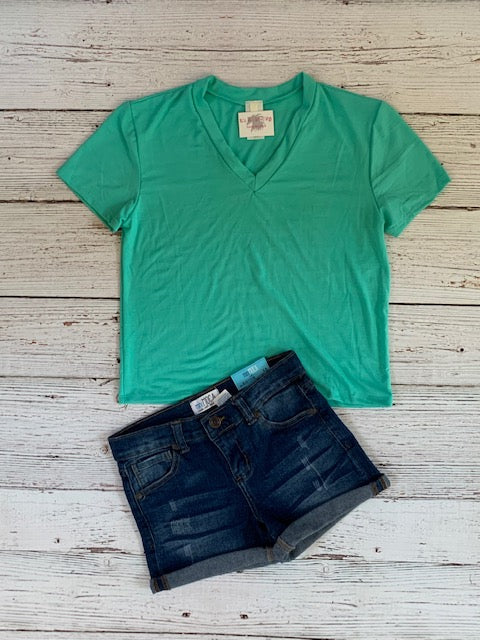 Solid V-Neck Tee {mint}